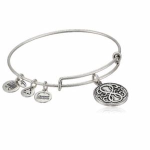 Alex and Ani Path of Life Bangle